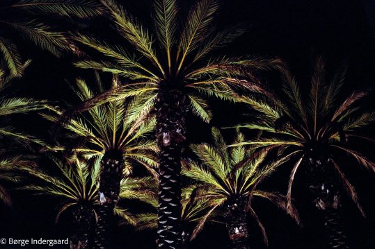 161229_SantaMonica_West_Coast_CA_US_FujiPro400h_11-24MP