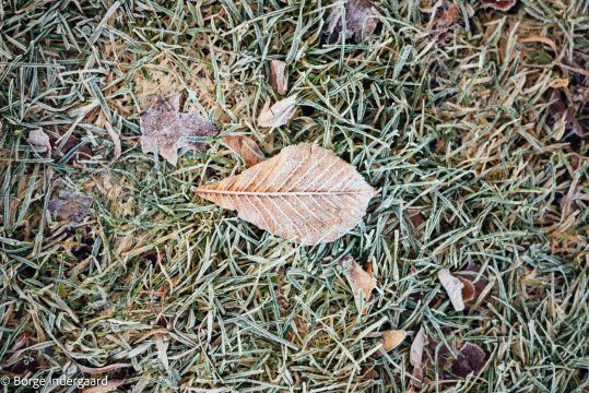 20151211_L1000940-24MP
